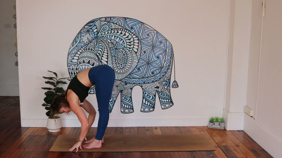 Wring It Out - 15 Minute Yoga Hit